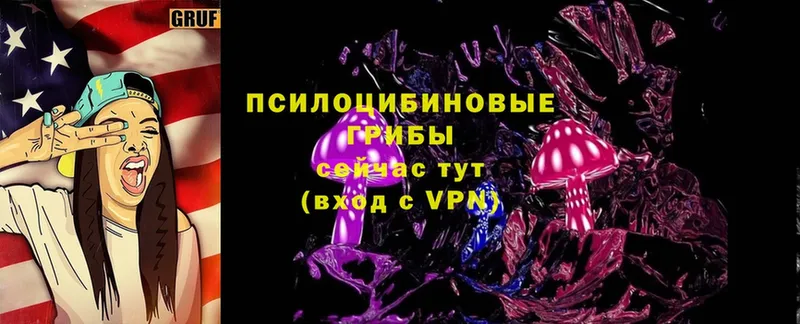 Галлюциногенные грибы Magic Shrooms  Прохладный 